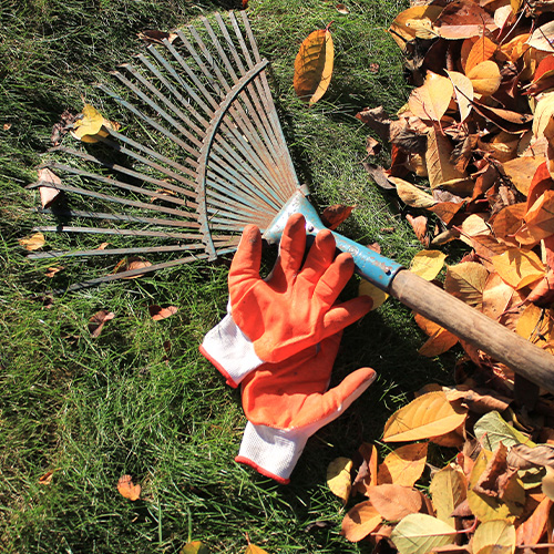 Autumn Tidy Up 5