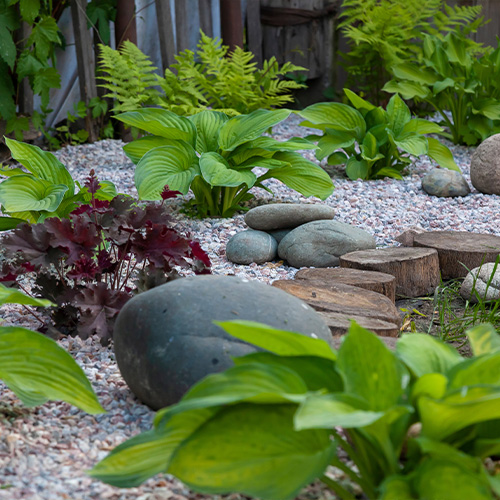 2024 Garden Trend - Gravel Garden