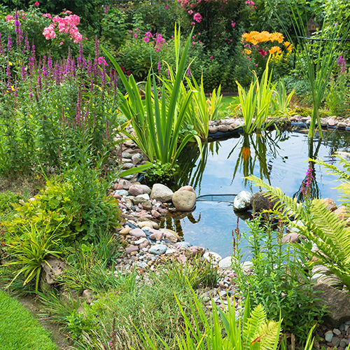 2024 Garden Trend - Natural Water Feature