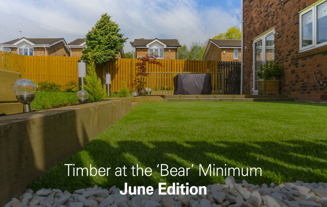 "Bear" Minimum June Edition