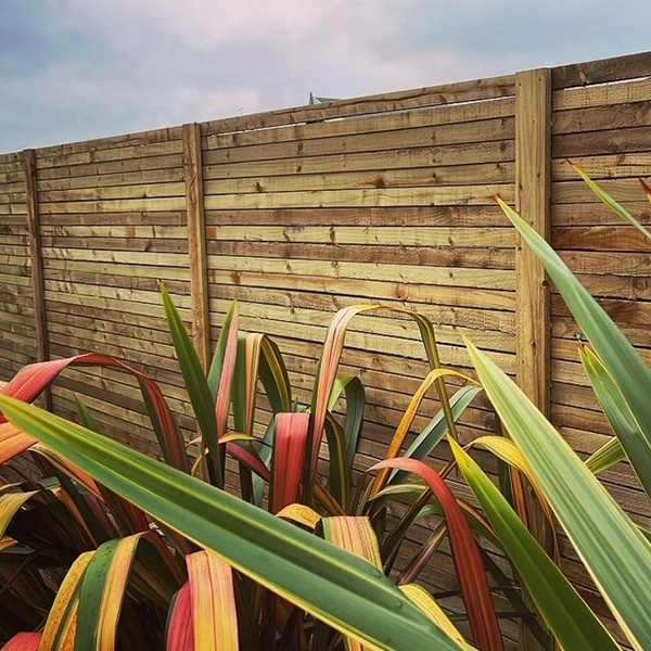 Bring Your Outdoor Space To Life - Fencing