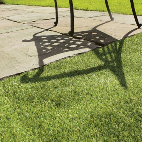 Artificial Grass