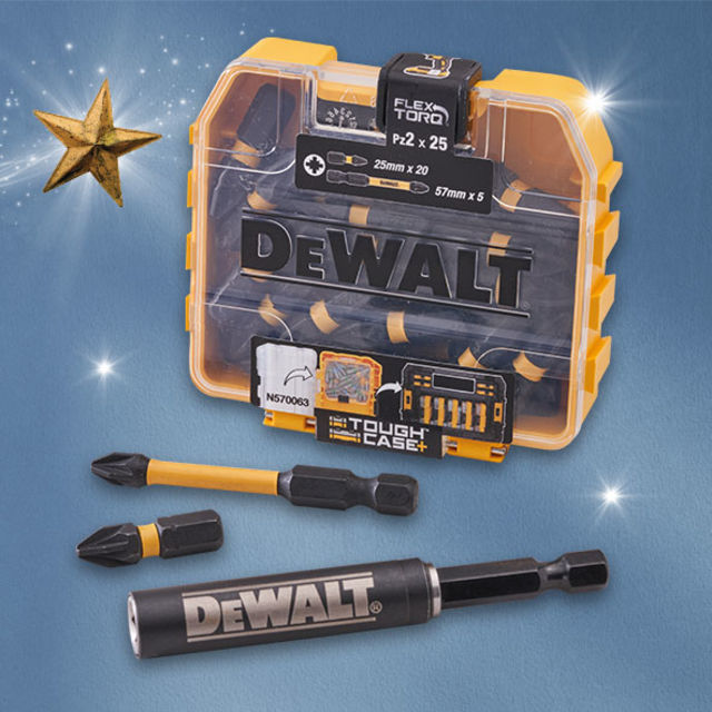 DEWALT | IMPACT BIT SET | PZ2 | 25 PIECE
