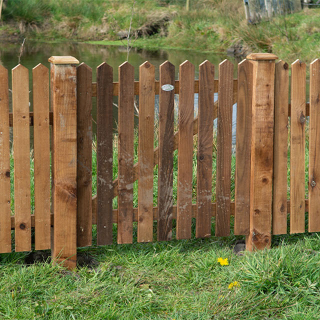 Pointed Picket Gate - Ledged and Braced