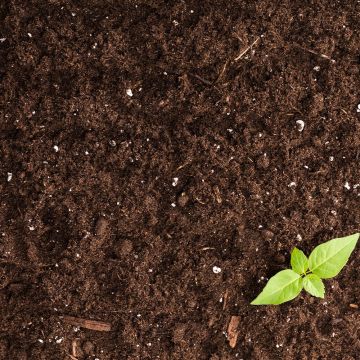 GARDEN AGGREGATES | TOP SOIL