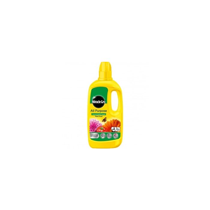 EVERGREEN | MIRACLE-GRO | ALL PURPOSE PLANT FEED | LIQUID | 1L main product photo