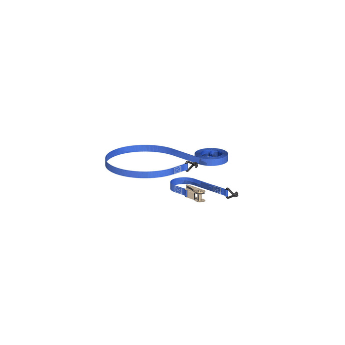 BIRKDALE SM | RATCHET TIE DOWN HOOK | 25MM | 4M | BLUE main product photo