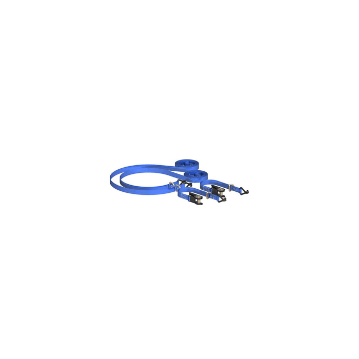 BIRKDALE SM | RATCHET TIE HOOK & D RING | 25MM | 4.5M | BLUE | PACK 2 main product photo