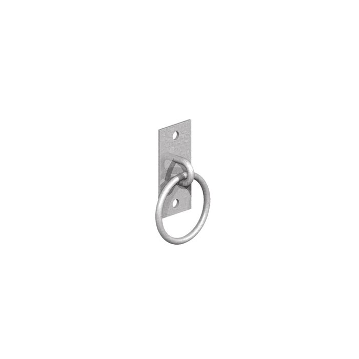 BIRKDALE GM | RING ON HEAVY DUTY PLATE | 4 X 2" | 100 X 50MM | GALVANISED main product photo