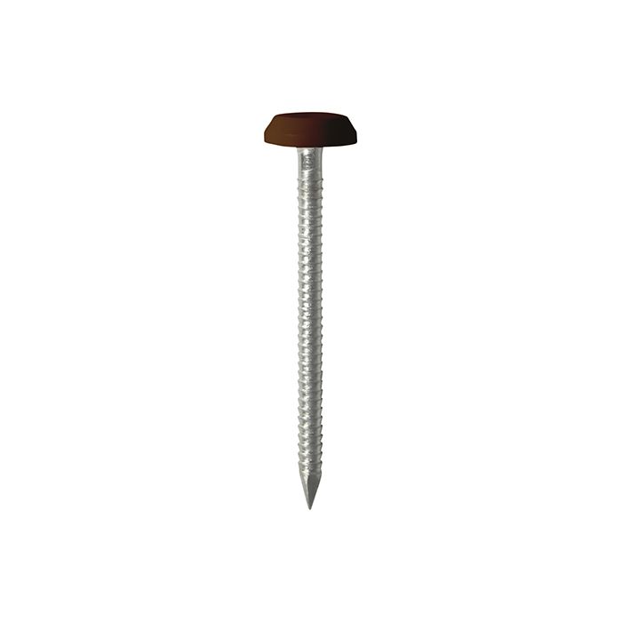 TIMCO | POLYMER HEADED NAIL | MAHOGANY | A4 STAINLESS STEEL | 65MM | BOX 100 main product photo