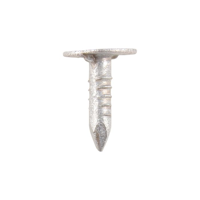 TIMCO | ELH CLOUT NAILS | GALVANISED | 3.00 X 30MM | 500G main product photo