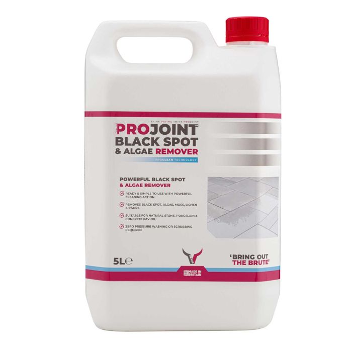 NEXUS | PAVECARE™ | BLACK SPOT & ALGAE REMOVER | 5L main product photo