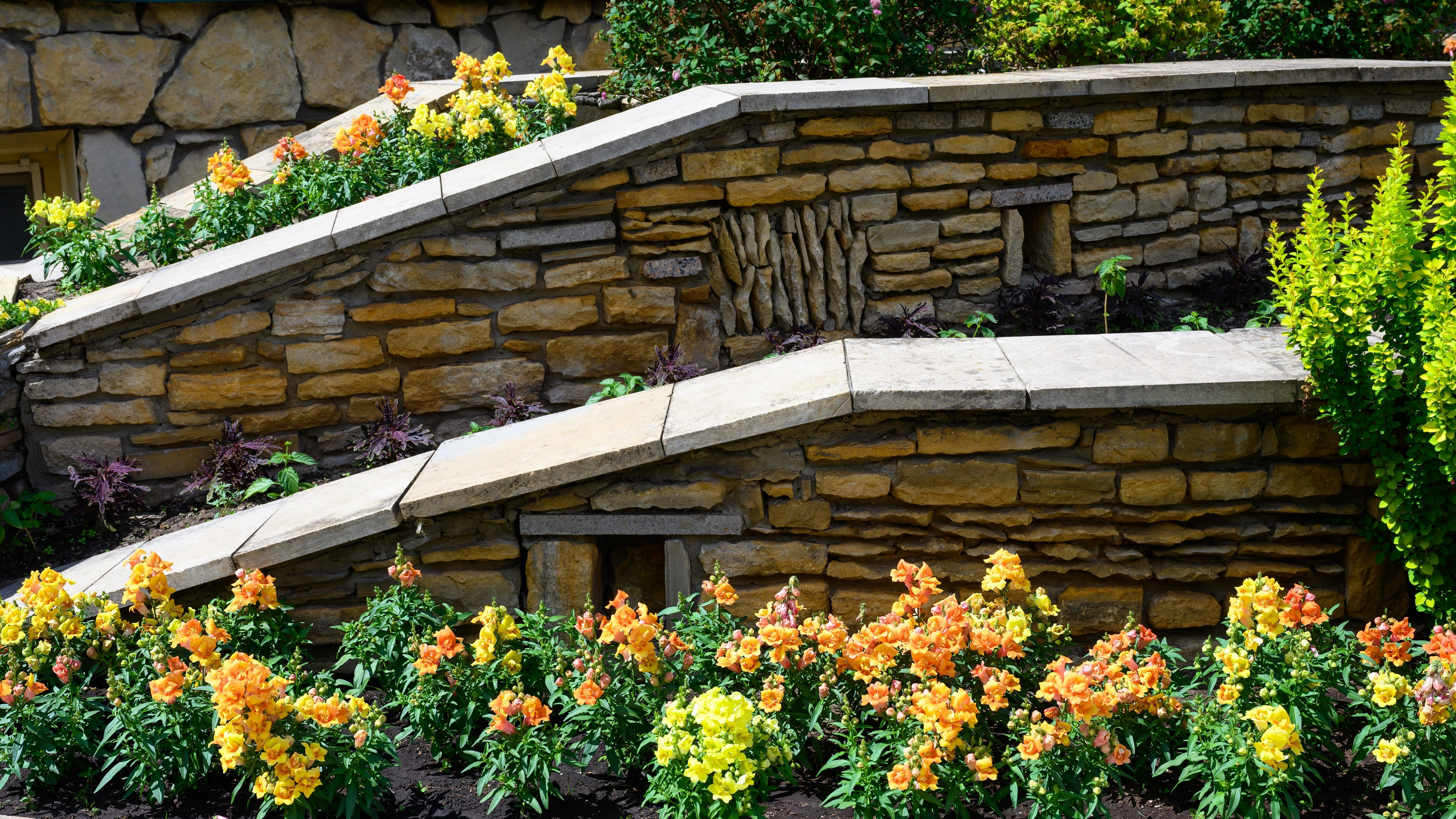 How to build a brick wall - a beginner-friendly guide